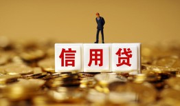 成都11哪有个人借贷-成都11小额贷款公司-成都11私借空放免费上门
