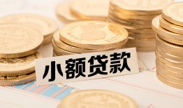 成都11身份证贷款平台-成都11私人借贷不查征信-成都11空放借钱