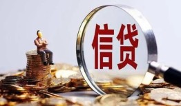 成都11个人小额贷款-成都11信用贷款-成都11无抵押信用贷款